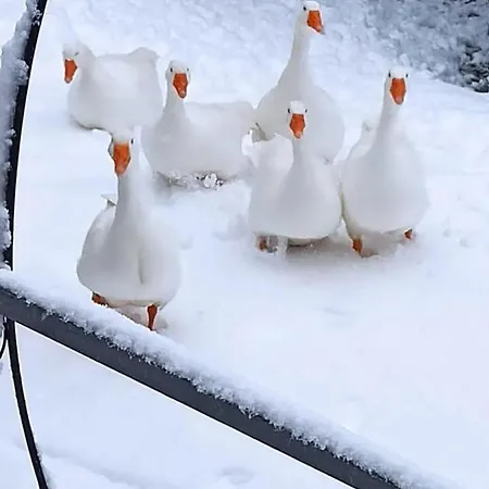 Essential House In Centro Con Parcheggio Privato E Wifi Affittacamere Potenza