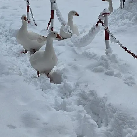 Essential House In Centro Con Parcheggio Privato E Wifi * Potenza