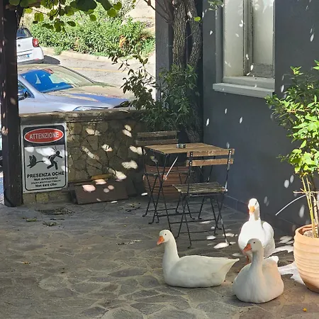 Essential House In Centro Con Parcheggio Privato E Wifi Potenza