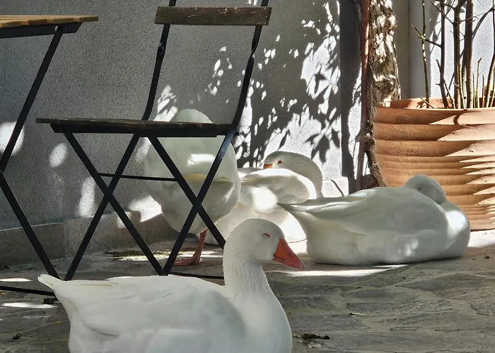 Essential House In Centro Con Parcheggio Privato E Wifi * Potenza