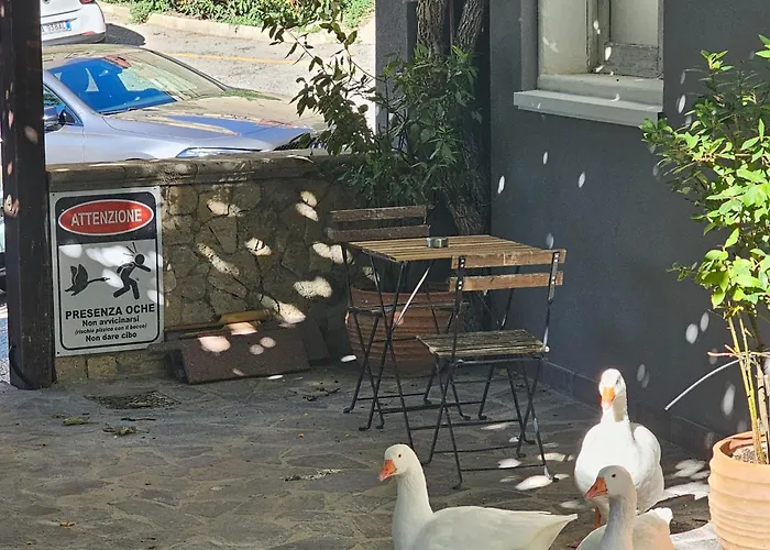 & Parking In Centro Citta Con Parcheggio Privato E Wifi Potenza