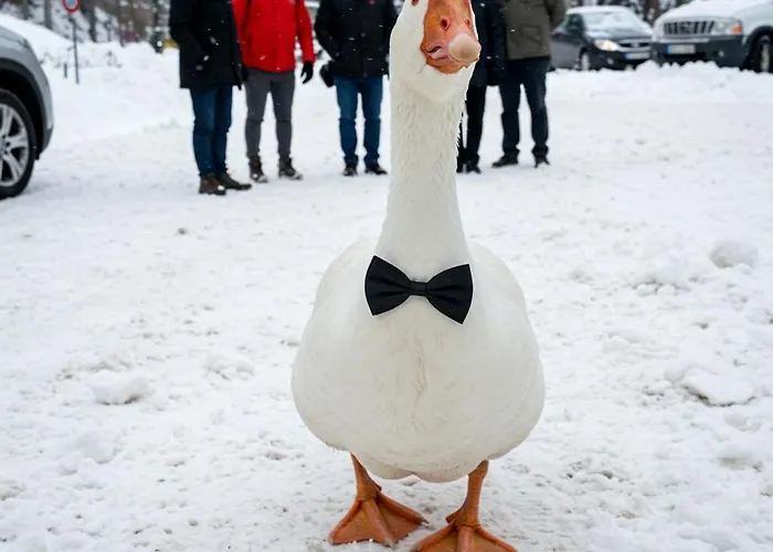 Essential House In Centro Con Parcheggio Privato E Wifi * Potenza